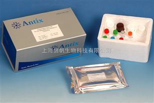 大鼠血管紧张素2 (Ang-2) ELISA试剂盒——高灵敏度检测与专业上海技术咨询服务